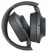 Sony WH-H900N