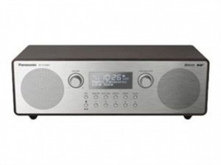 Panasonic RF-D100BTEGT hos Larsbengtsson.se