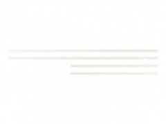 The Frame 50" Ram (2021/2022/2023)
