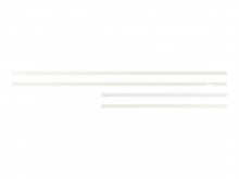 The Frame 55" Ram (2021/2022)